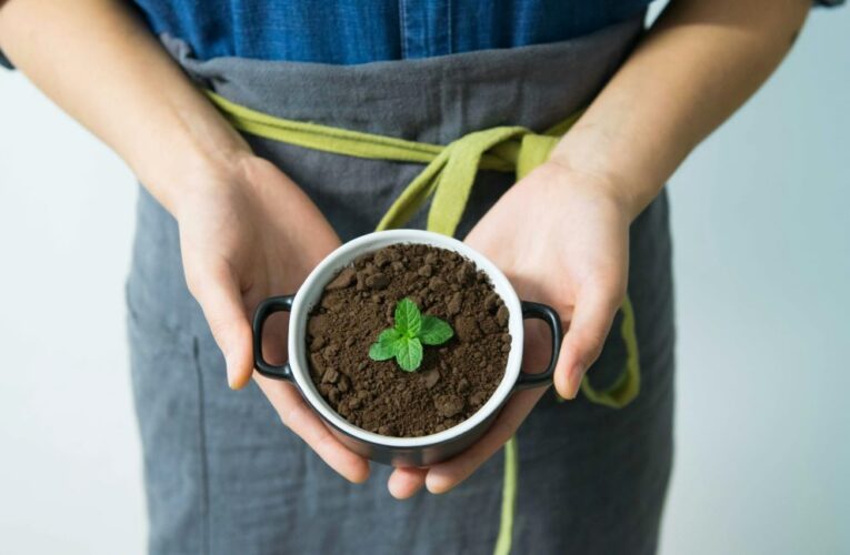 ESG, TASSI PIÙ ALTI E NUOVA DOMANDA: LA LETTURA DI ENER2CROWD SUL TRIENNIO 2023–2025